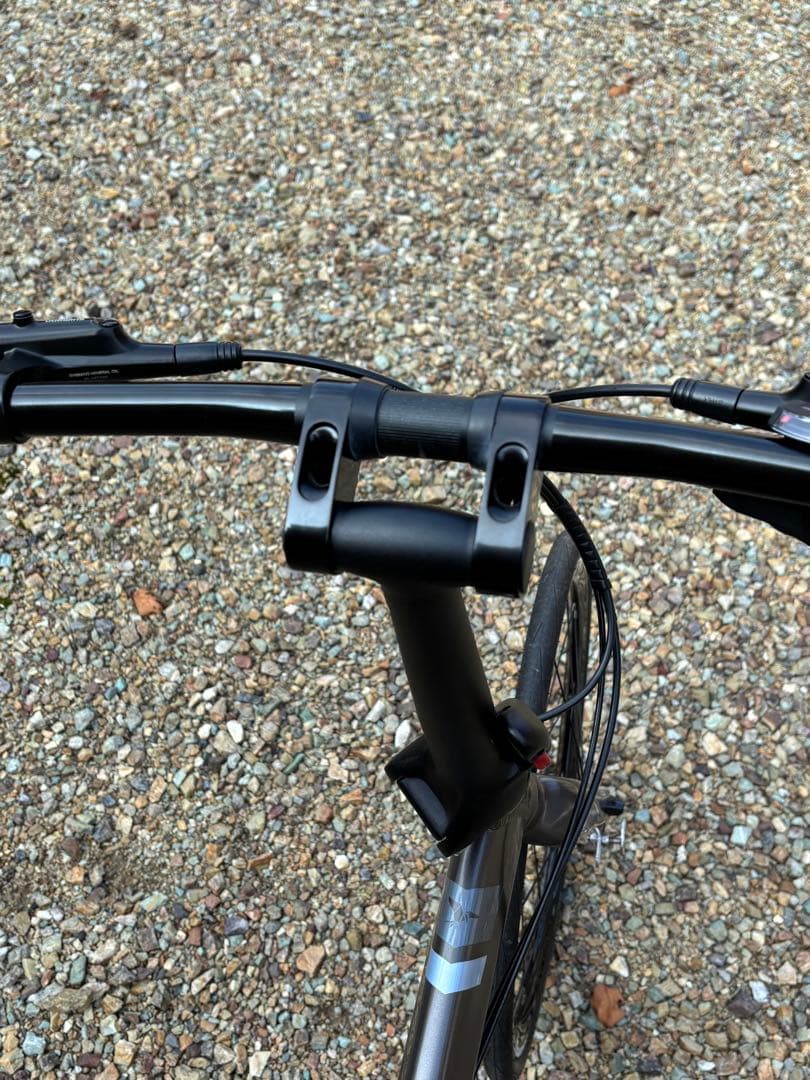 Tern VERGE P10(2021年)