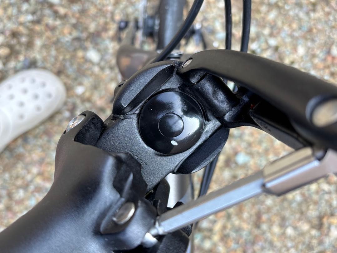 Tern VERGE P10(2021年)