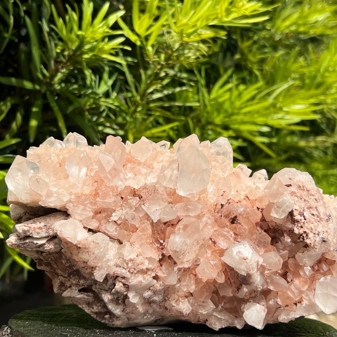 ✳️限定特価‼️超極レア 極上別格品✨超美煌☆ピンク水晶✨ピンクマニカラン水晶