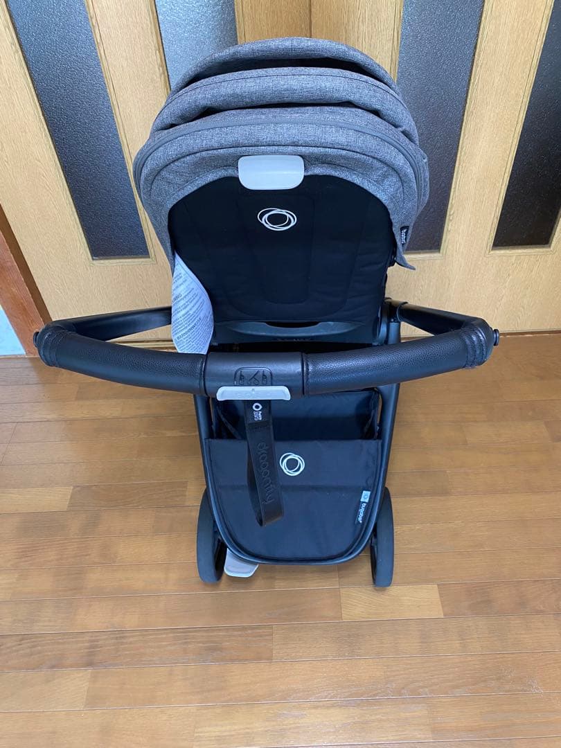 バガブードラゴンフライ