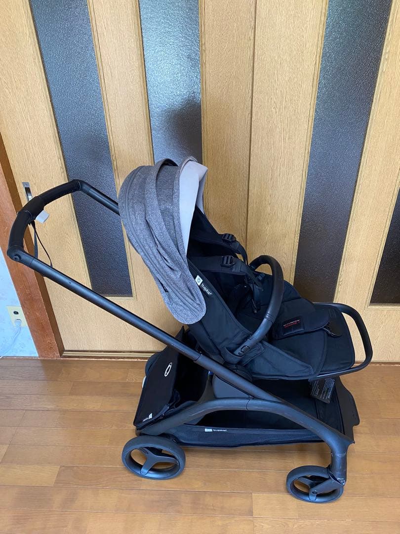 バガブードラゴンフライ