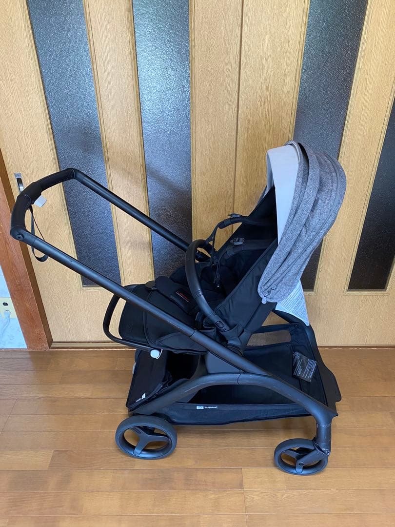 バガブードラゴンフライ