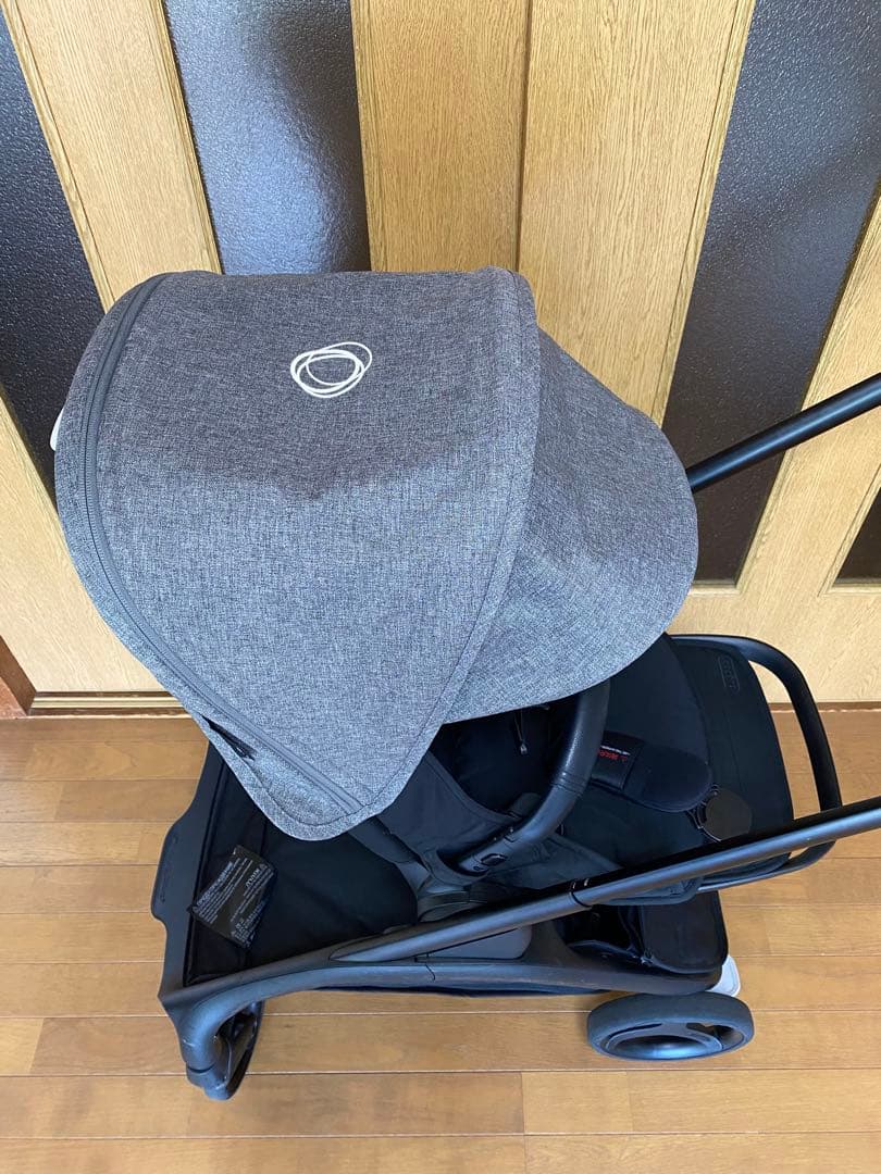 バガブードラゴンフライ