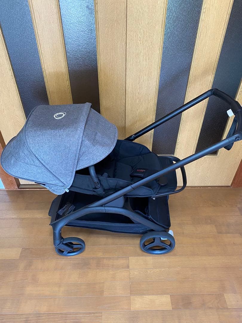 バガブードラゴンフライ