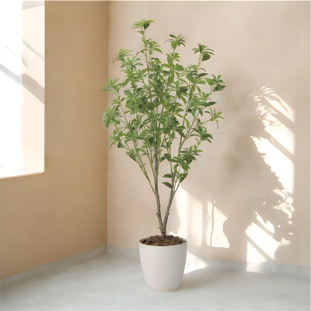 光触媒　観葉植物　ウォールグリーン　フェイクグリーン　フレッシュアセビ1.65