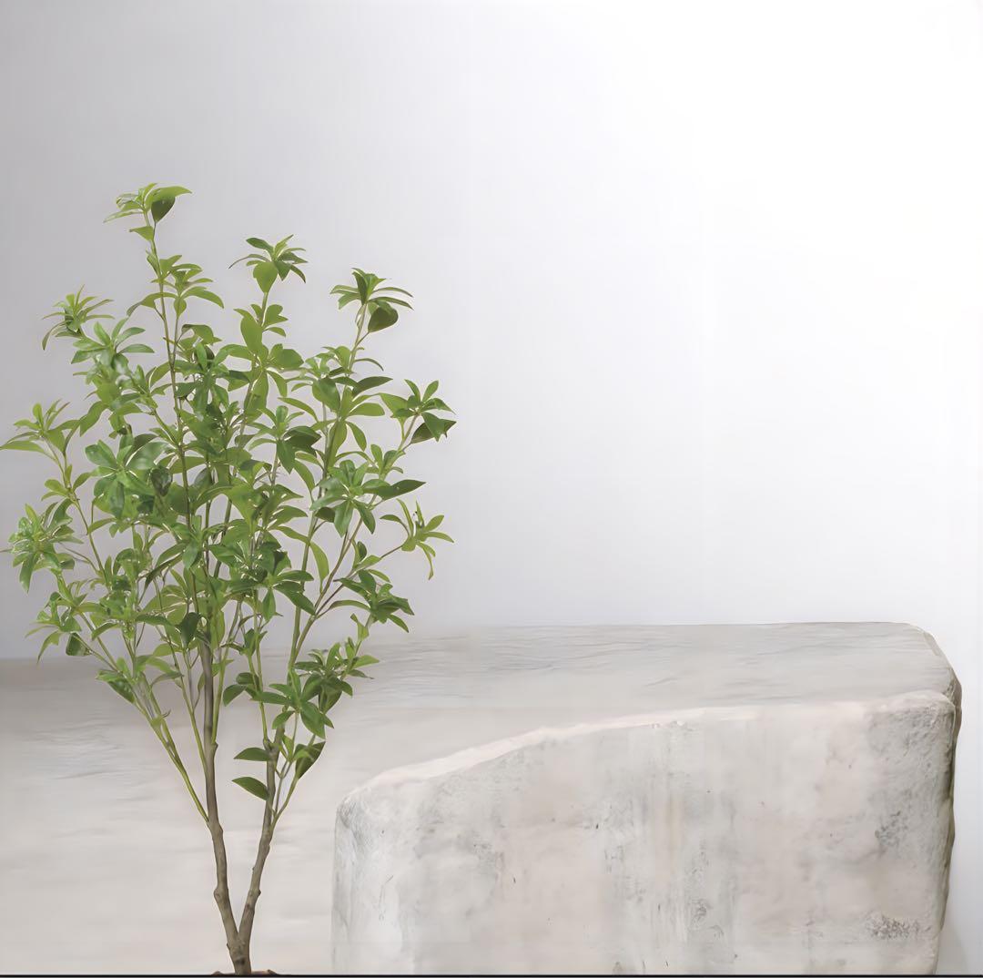 光触媒　観葉植物　ウォールグリーン　フェイクグリーン　フレッシュアセビ1.65