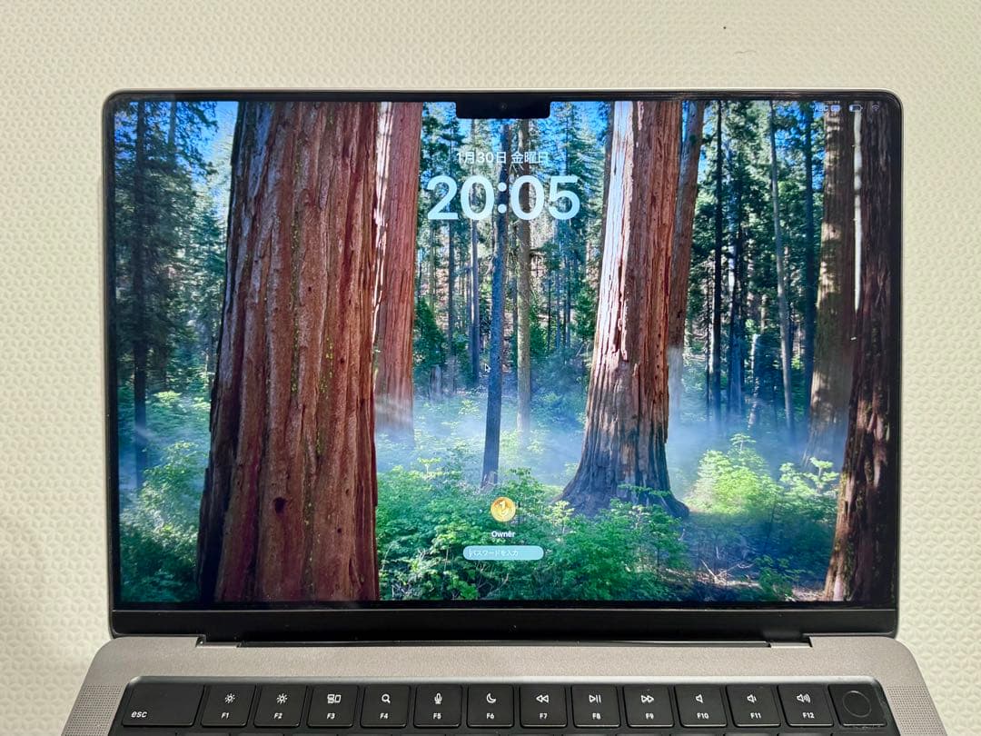 【1TB, 16GB】MacBook Pro M1 Pro シルバー 14インチ