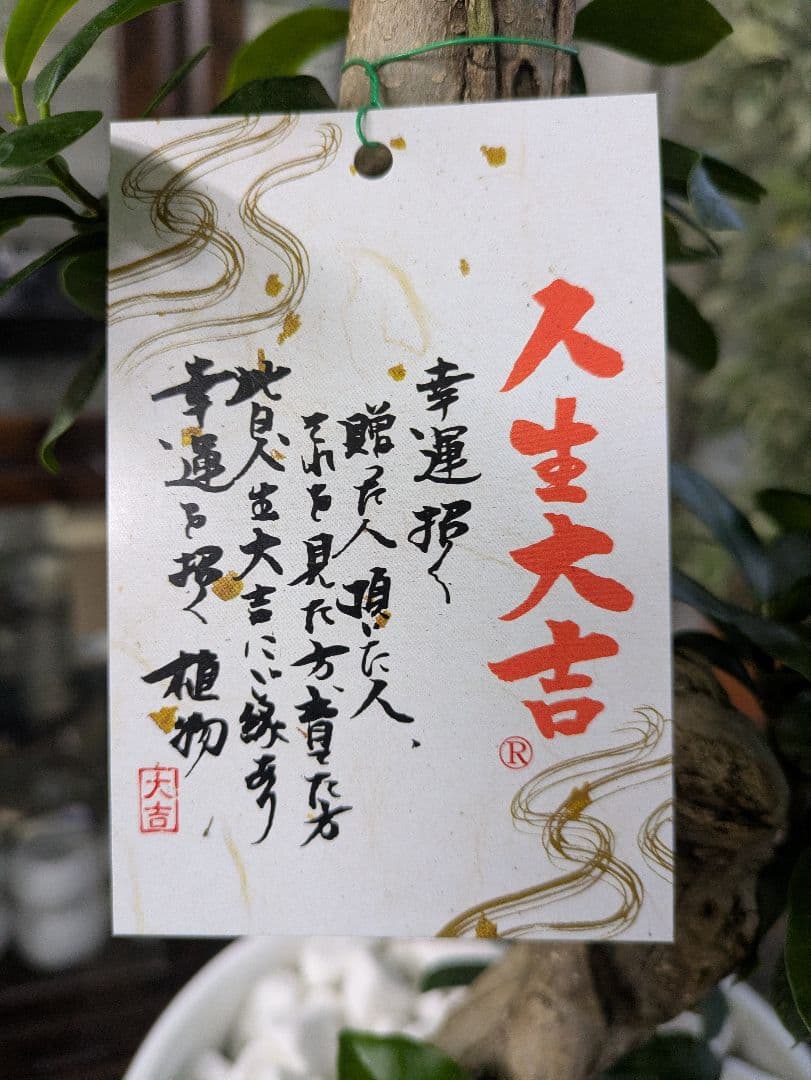 縁起物　人生大吉　ガジュマル　昇り龍　曲げ作り