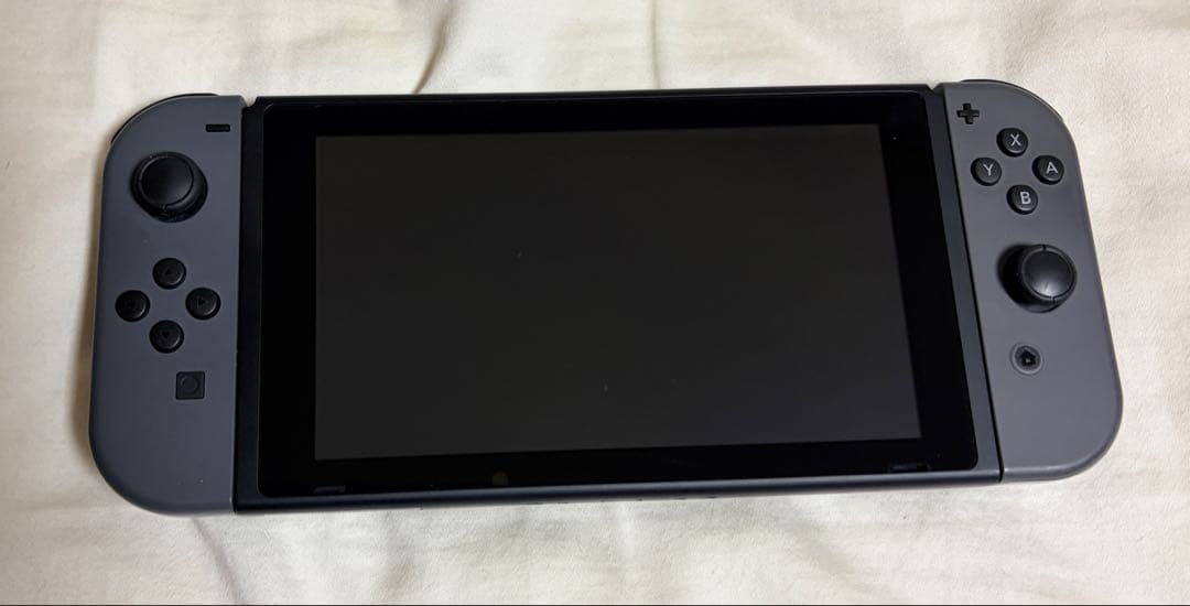 Switch Nintendo Switch ストア限定版 純正キャリーケース付