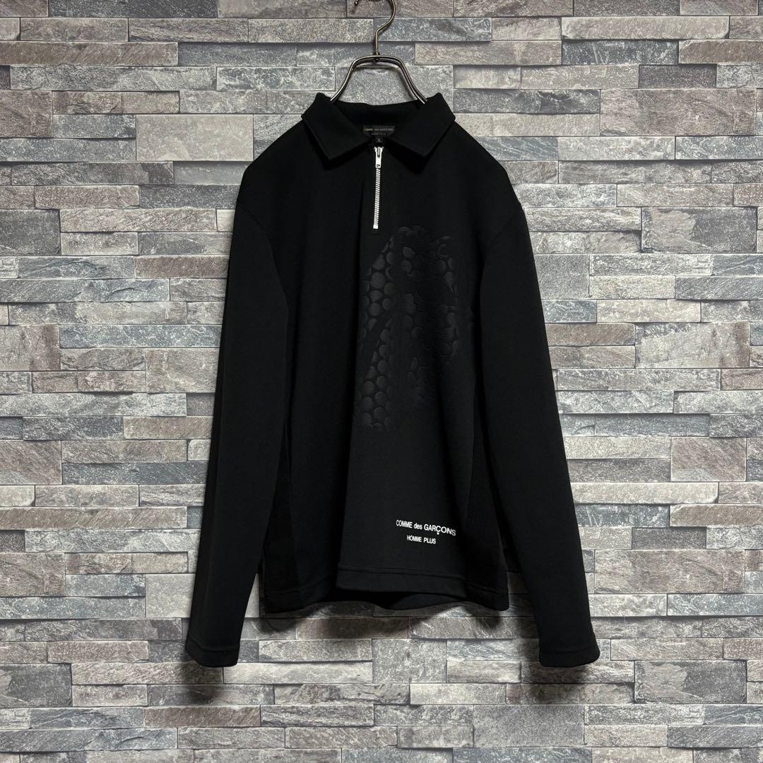 コムデギャルソンオムプリュス ザローリングストーンズ06SSリップ&タンL/ST