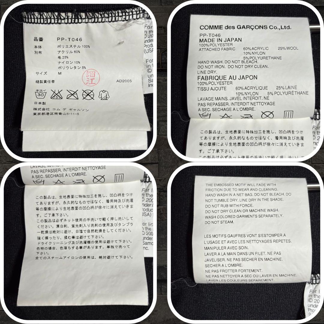 コムデギャルソンオムプリュス ザローリングストーンズ06SSリップ&タンL/ST