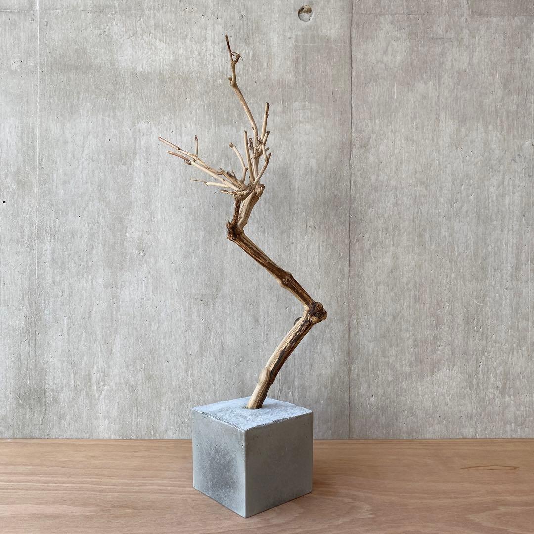 【コンクリート盆栽 流木オブジェ】ディスプレイ アート インテリア 鍵 爬虫類