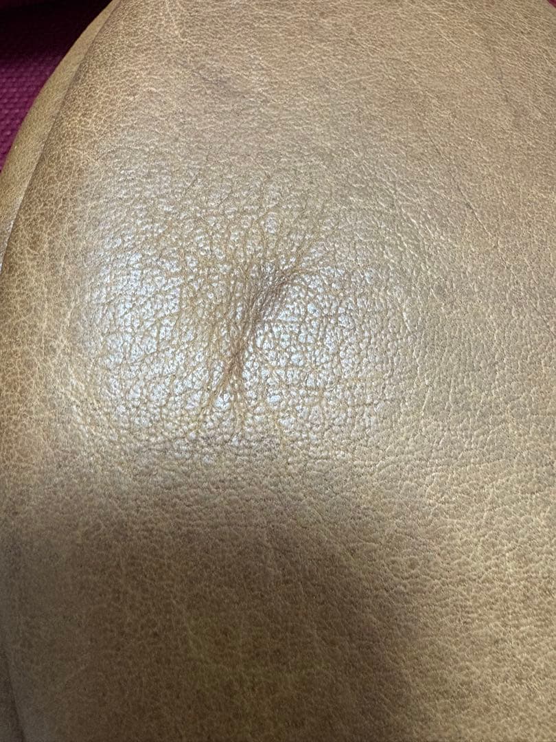 ポロ　ラルフローレン　ラグビーボール　非売品