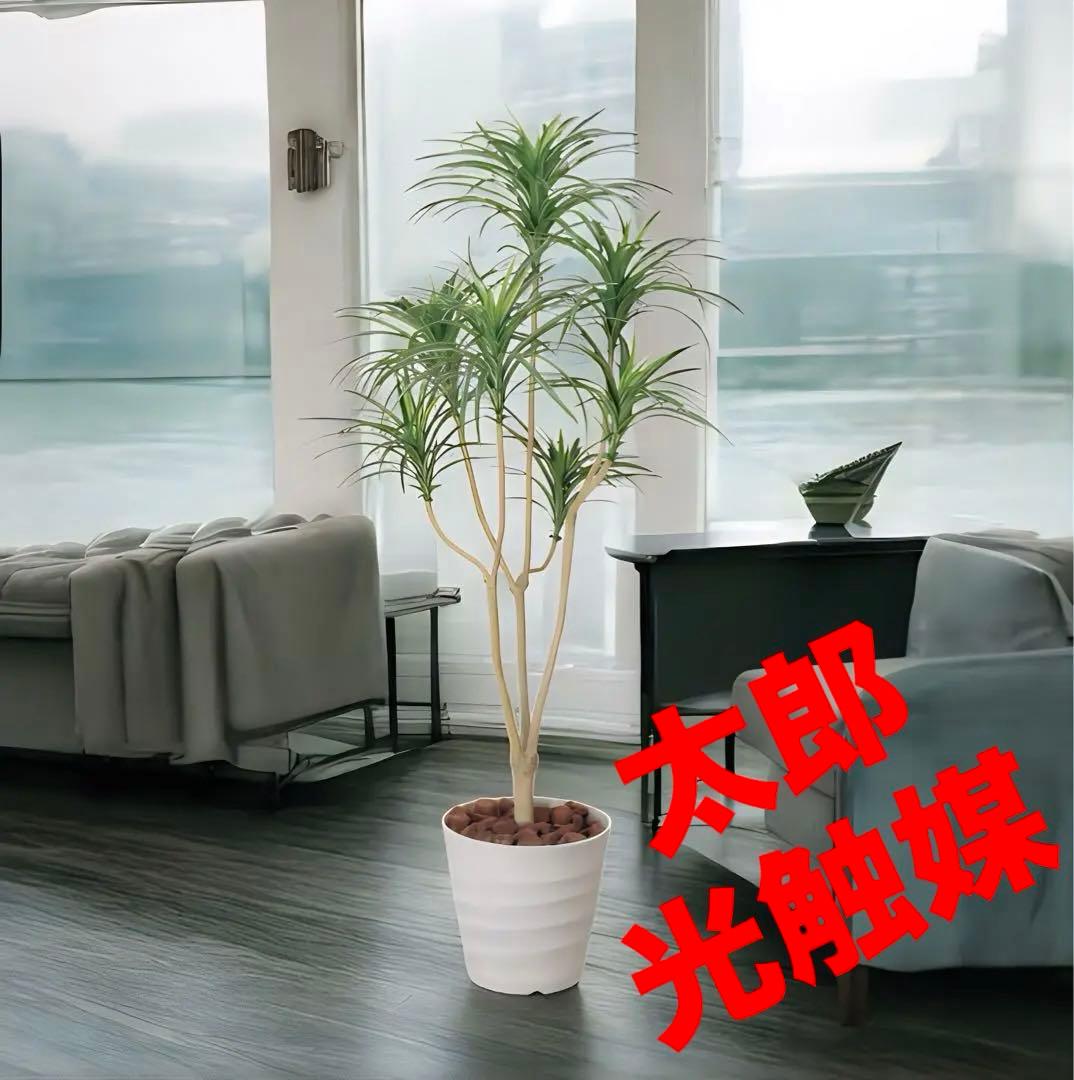 光触媒　人工観葉植物　ウォールグリーン　フェイクグリーン　ユッカ1.6