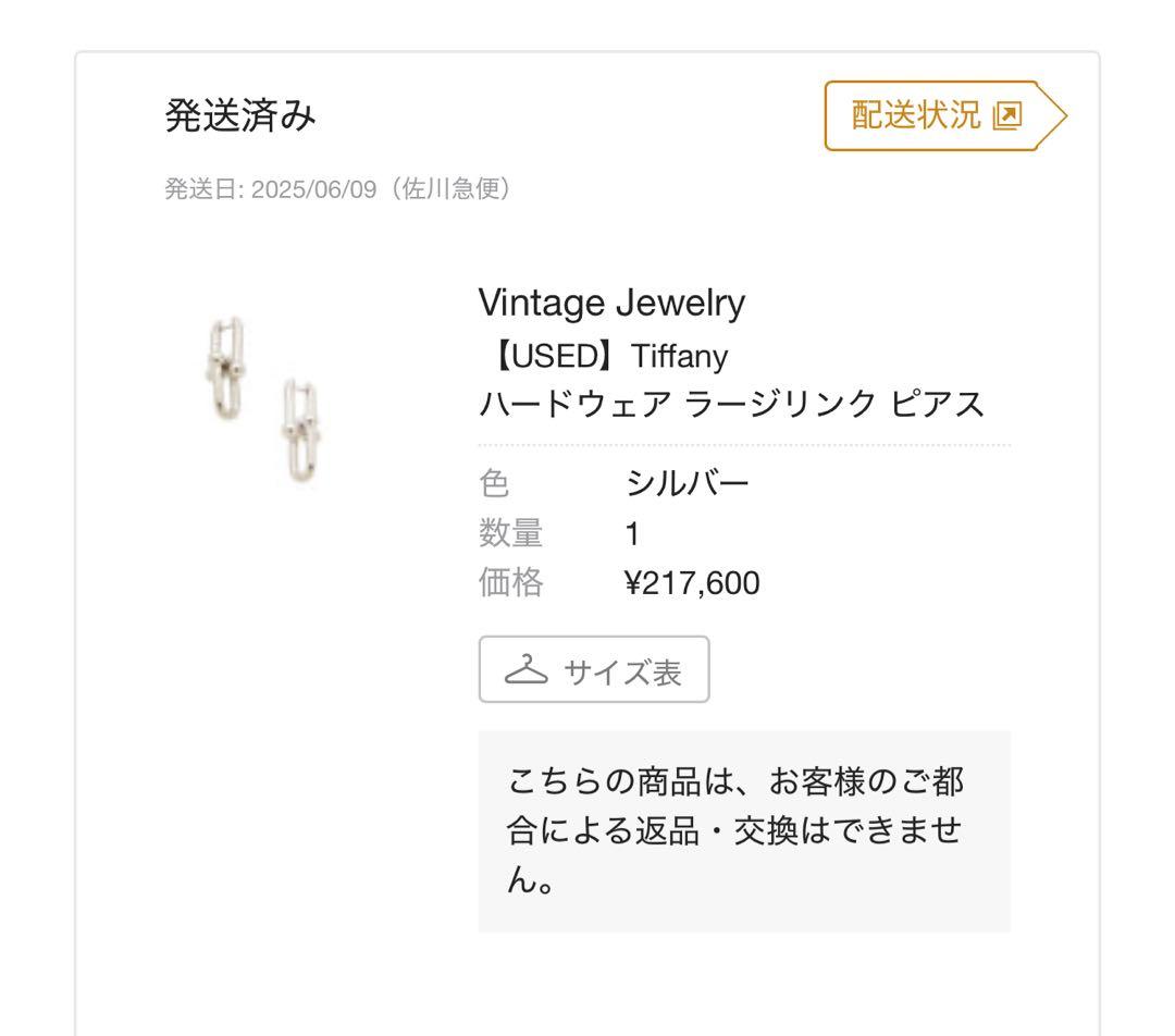 Tiffany & Co. ハードウェア　ピアス(片耳用)