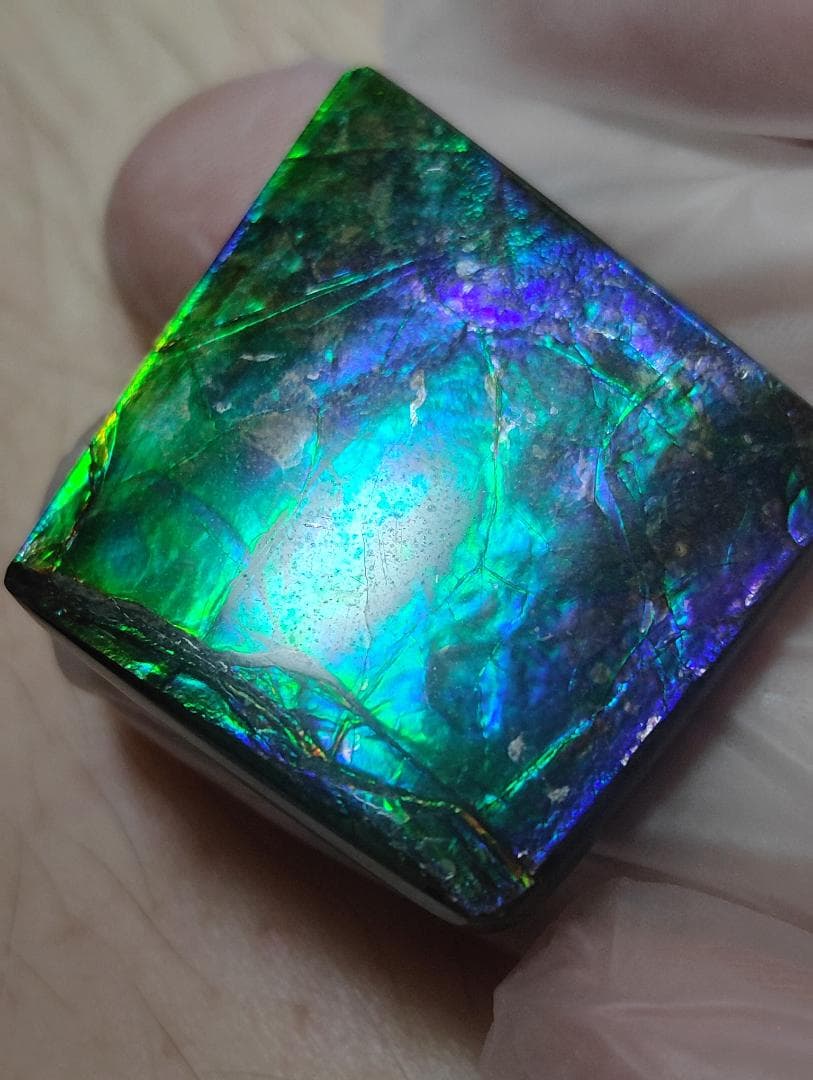 アンモライト　ルース　24-0743 37500