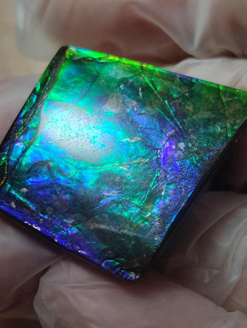 アンモライト　ルース　24-0743 37500