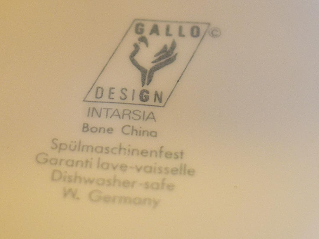 ドイツ　ガロデザイン　gallo ディナーセット6点　カップ　ビレロイ&ボッホ