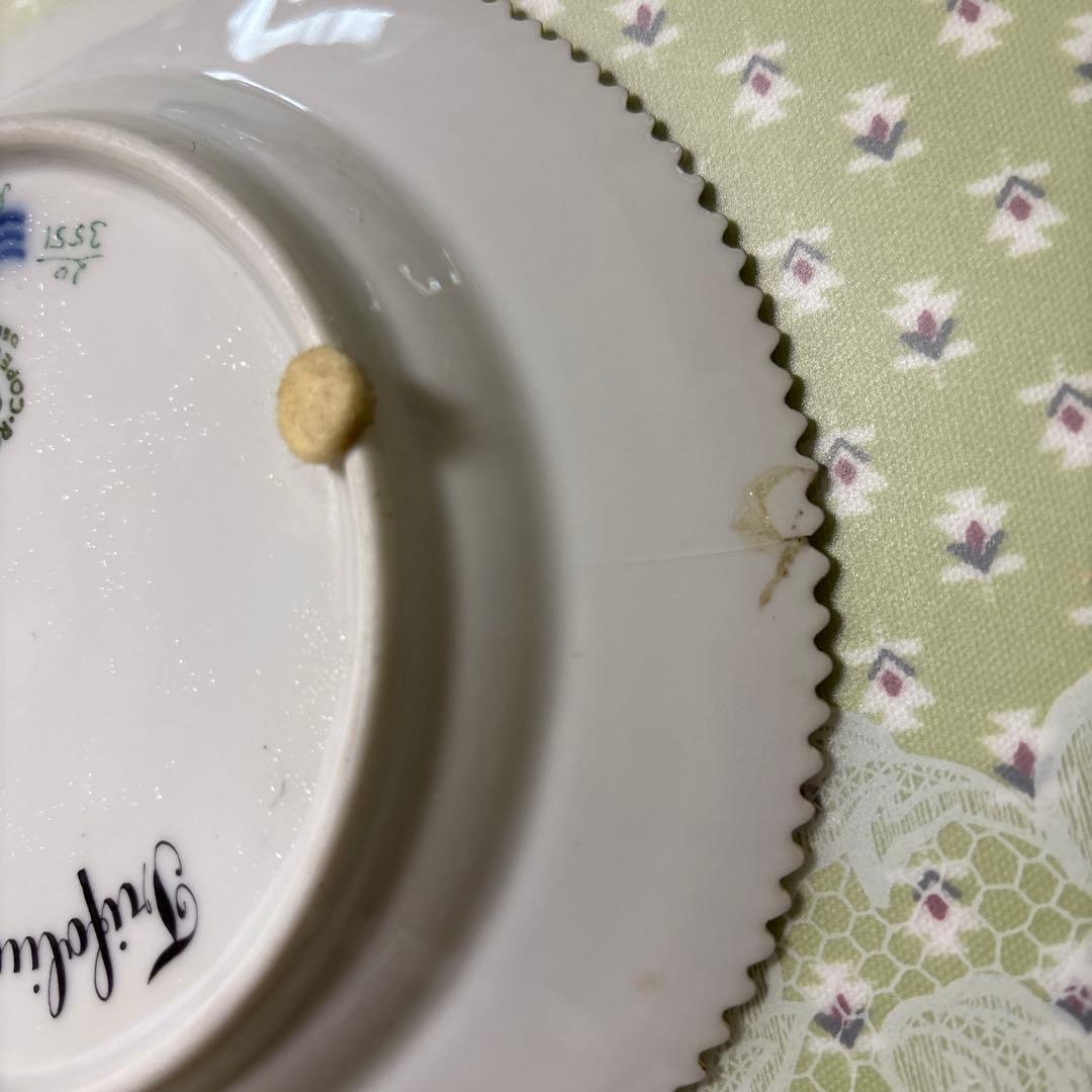 ロイヤルコペンハーゲン　フローラダニカ17センチ皿