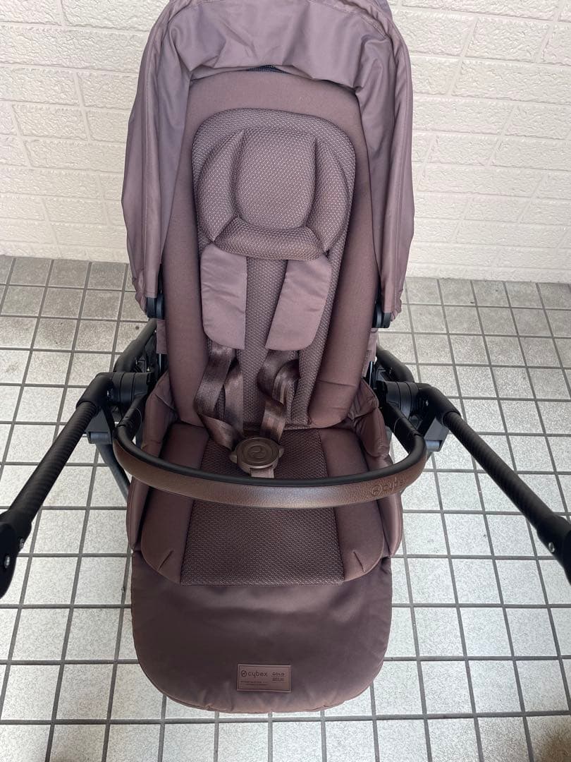 ★限定色★コーヒーブラウン サイベックス メリオカーボン