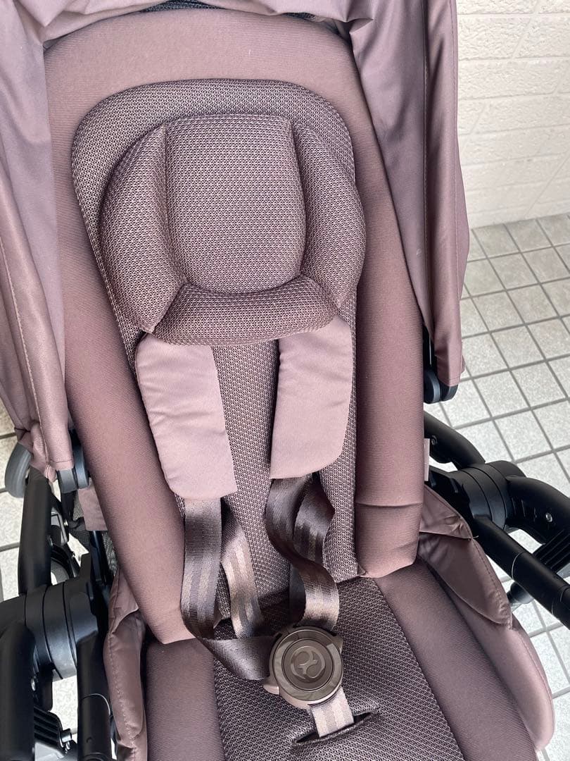 ★限定色★コーヒーブラウン サイベックス メリオカーボン