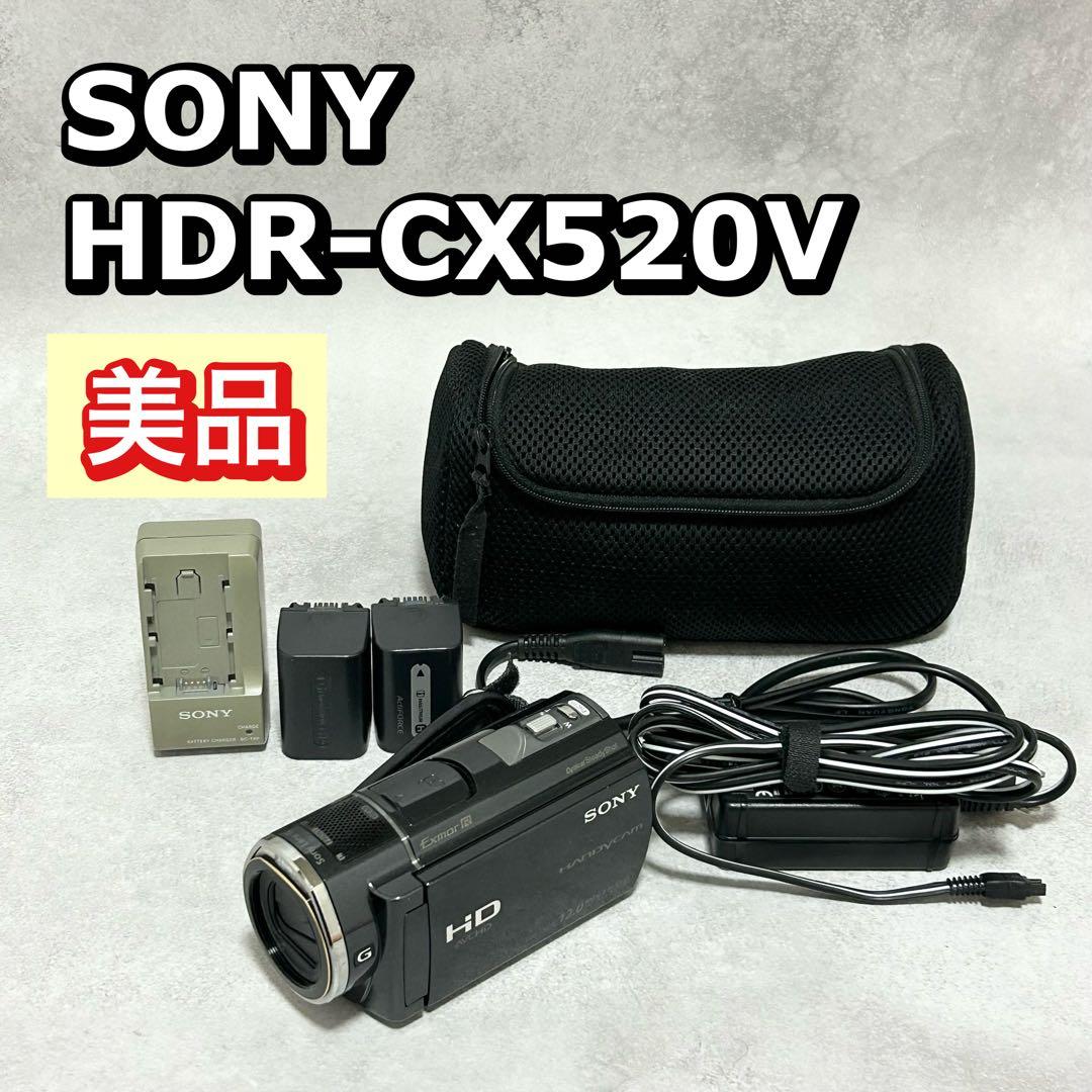 【美品】ソニー HDR-CX520V ビデオカメラ　ハンディカム