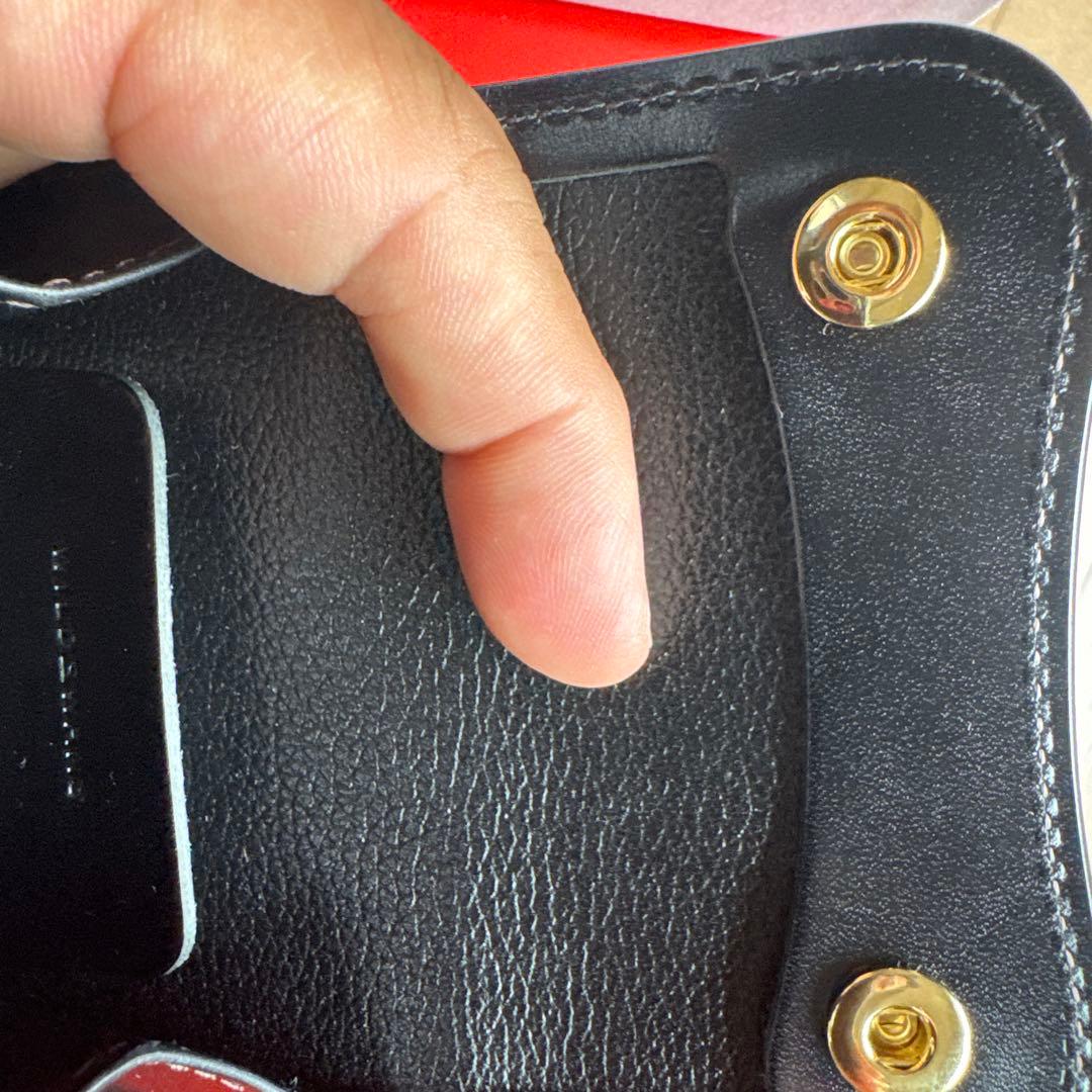 ワイルドスワンズタングのクロコ