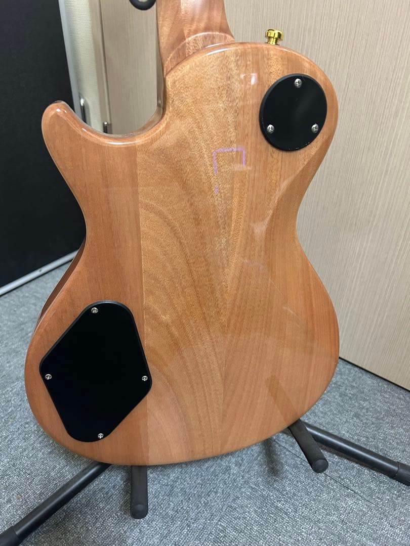 ギター Paul Reed Smith(PRS) SE Zach Myers