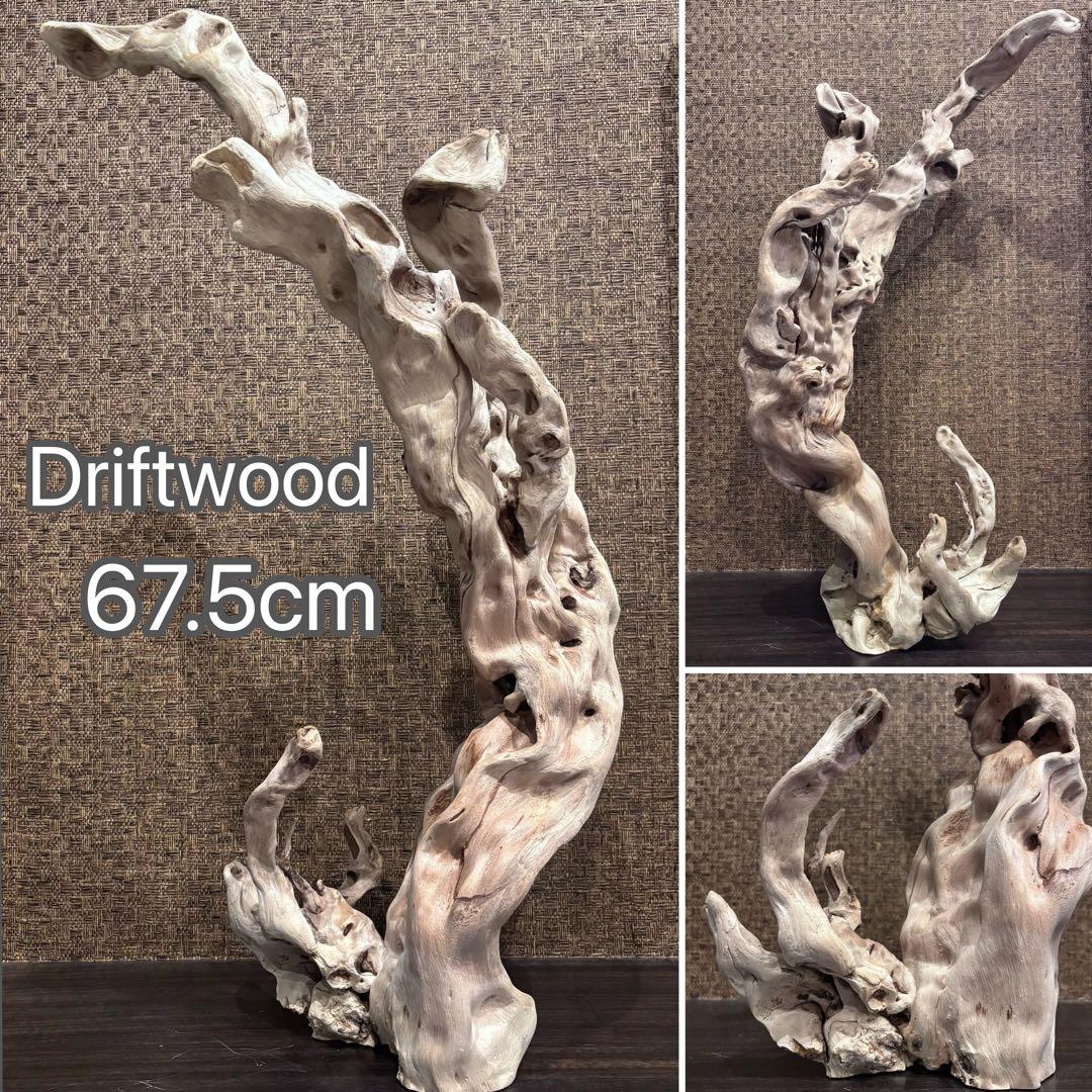 流木　うねうね大サイズ　インテリア用67.5cm自立可
