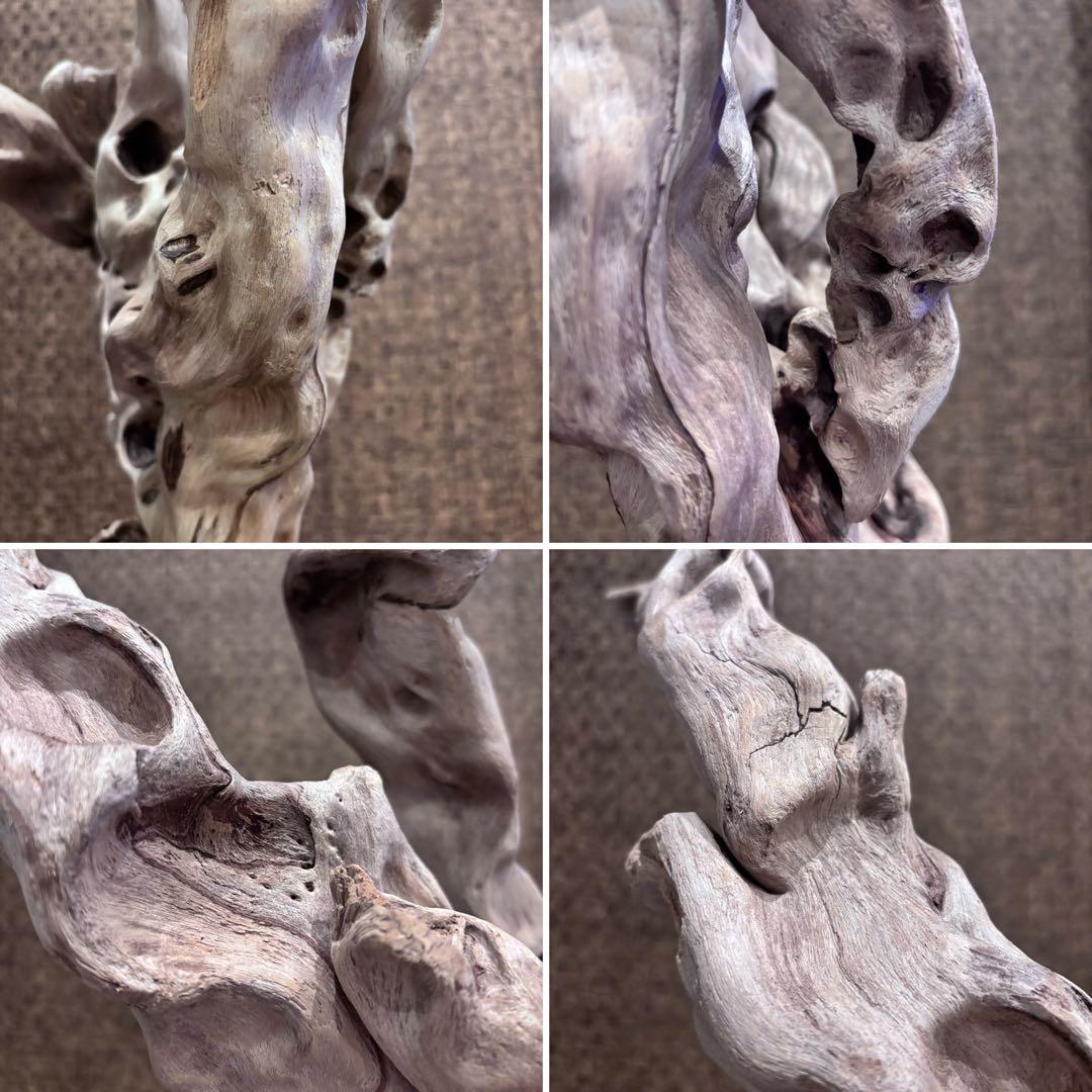 流木　うねうね大サイズ　インテリア用67.5cm自立可