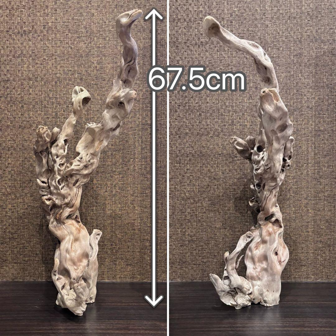 流木　うねうね大サイズ　インテリア用67.5cm自立可