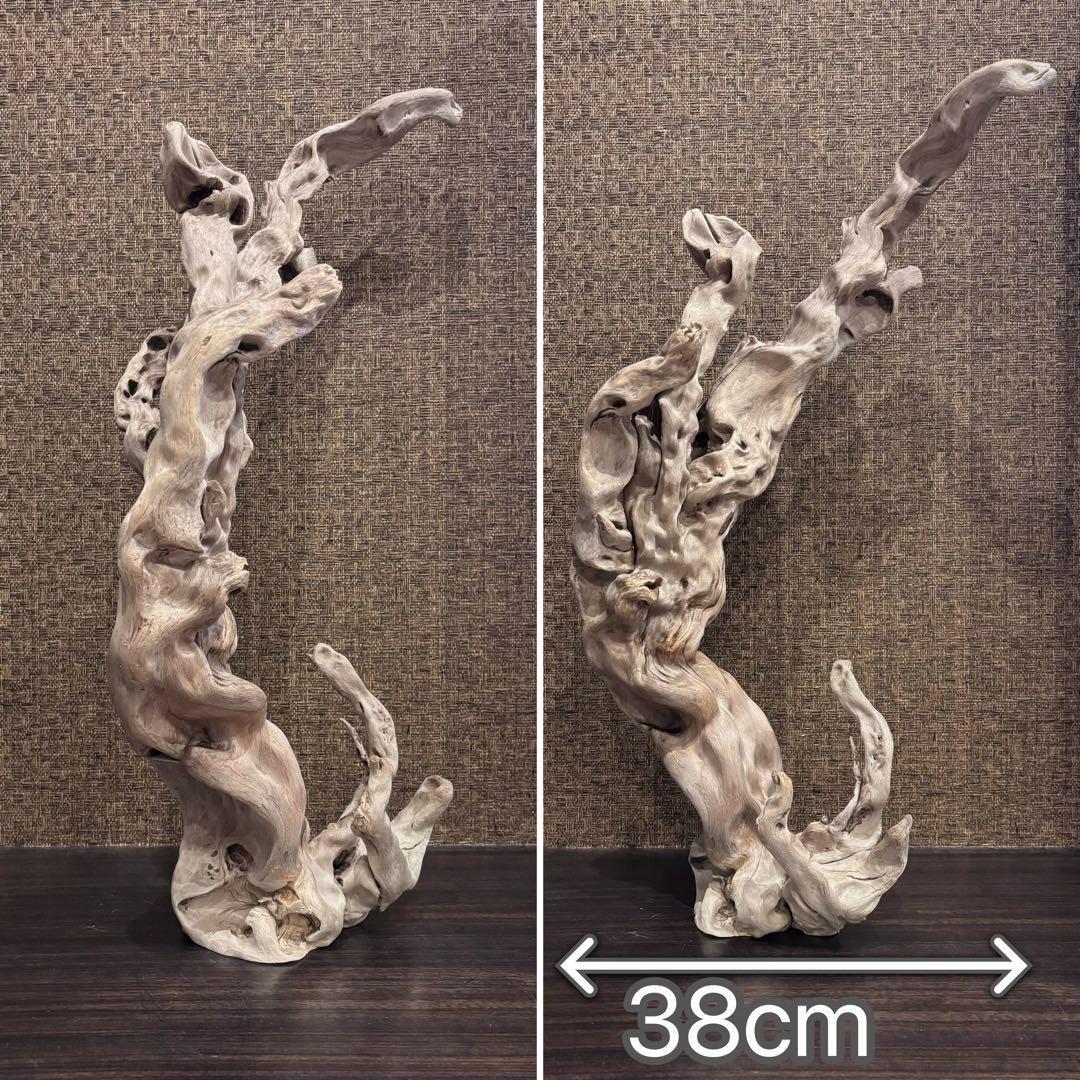 流木　うねうね大サイズ　インテリア用67.5cm自立可