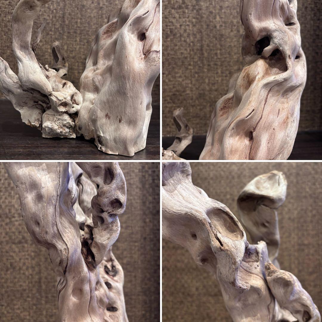 流木　うねうね大サイズ　インテリア用67.5cm自立可