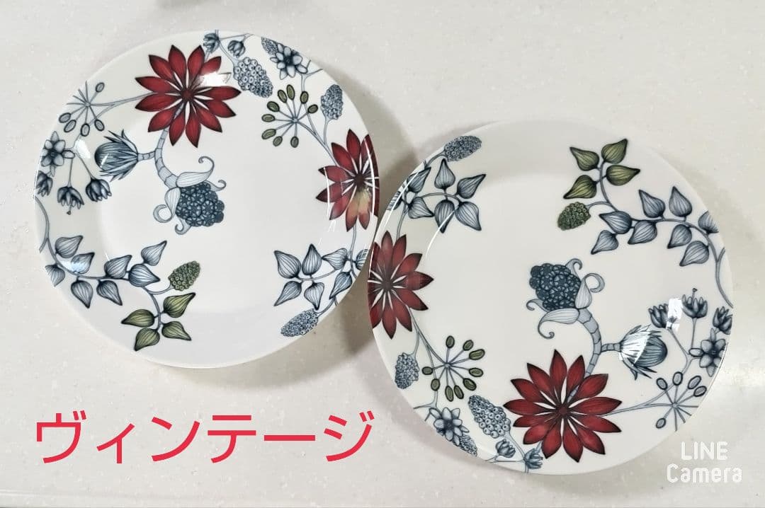 ビィンテージ版 アラビア ルノ サマーレイ プレート 26cm 2枚セット