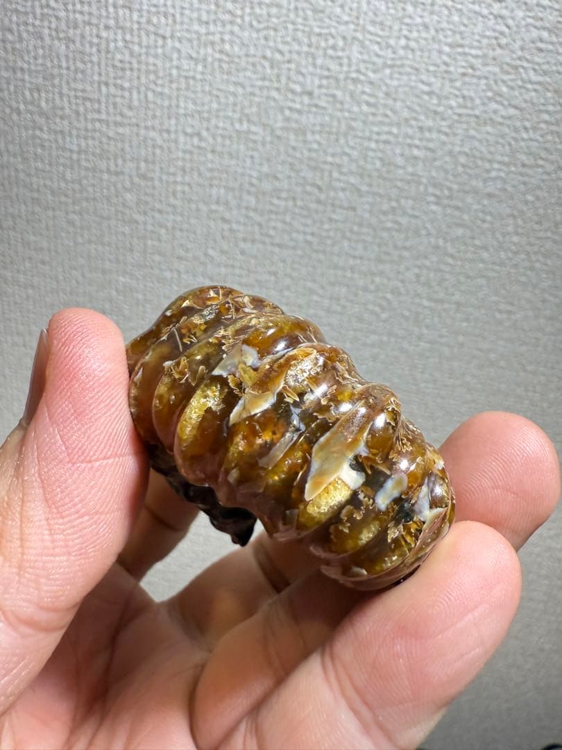 極美品マダガスカルのアンモナイト化石　2点セット　本物保証　希少　送料無料