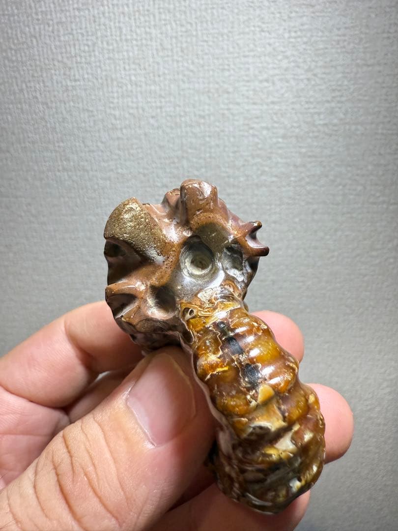 極美品マダガスカルのアンモナイト化石　2点セット　本物保証　希少　送料無料