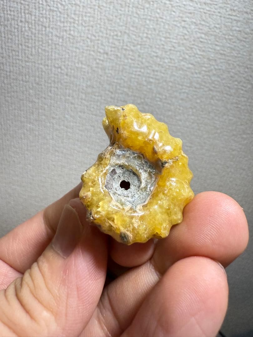 極美品マダガスカルのアンモナイト化石　2点セット　本物保証　希少　送料無料