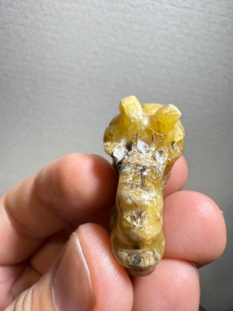 極美品マダガスカルのアンモナイト化石　2点セット　本物保証　希少　送料無料