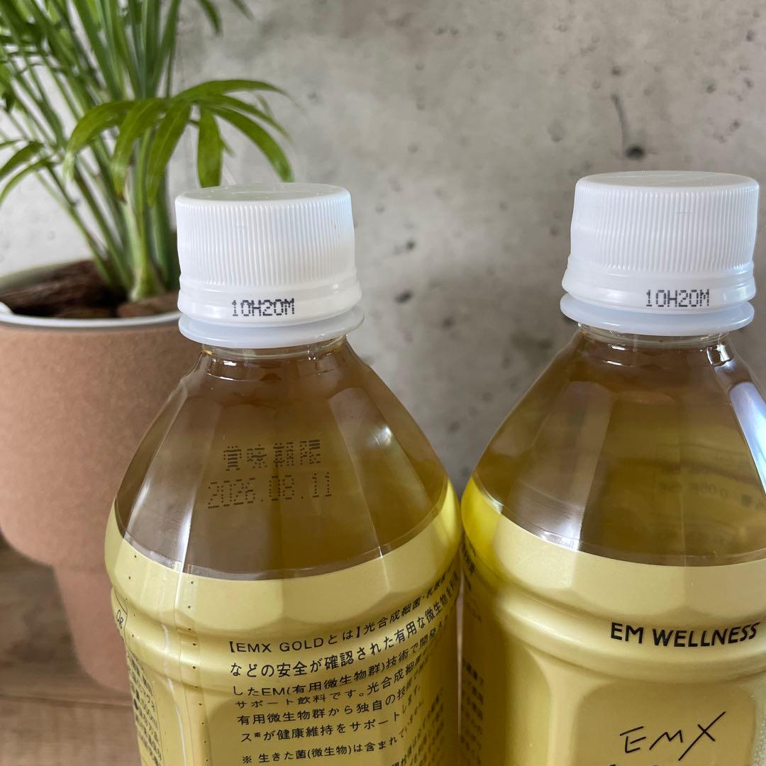 【新品・未開封】EMXGOLDイーエムエックスゴールド 500mL 2本セット