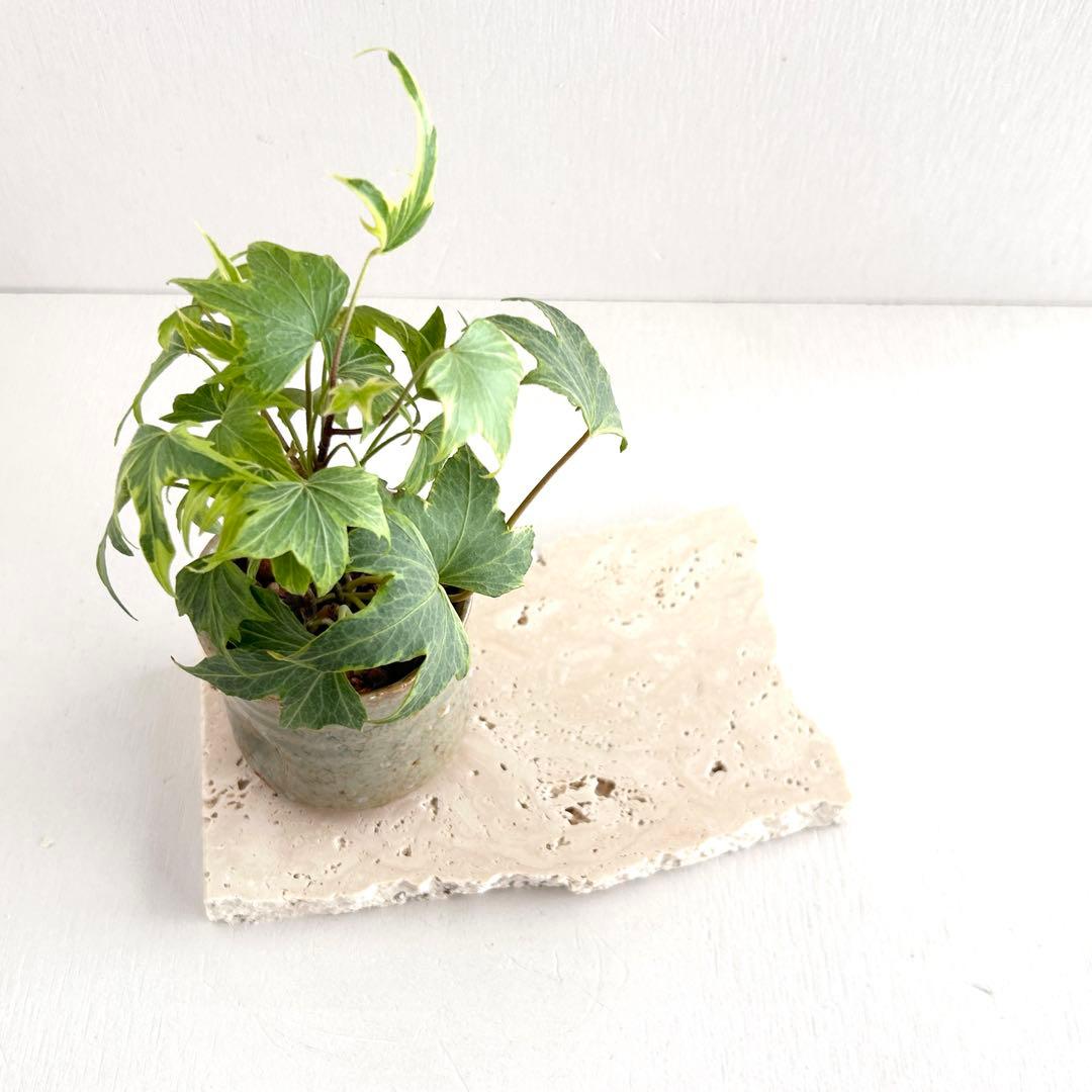 510ロマノトラバーチン（大理石端材プレート）