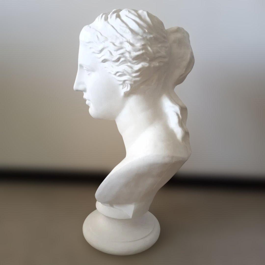 ミロのビーナス石膏像