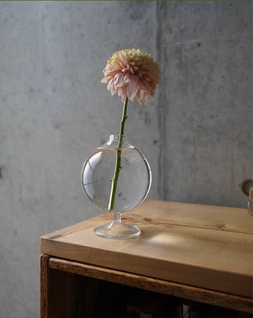 touchu かもめ すずめ セット