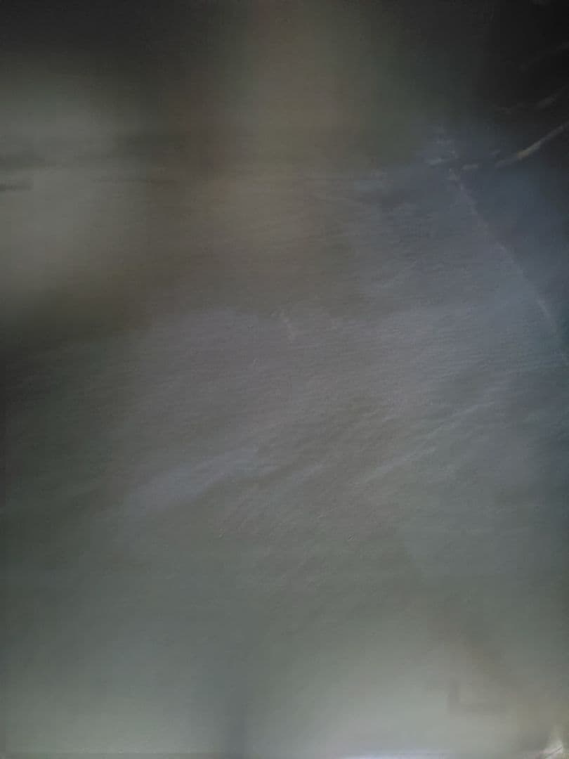 ペスパ2.0 木製キャビネット 2段 扉付き カギ付き ロータイプ　黒