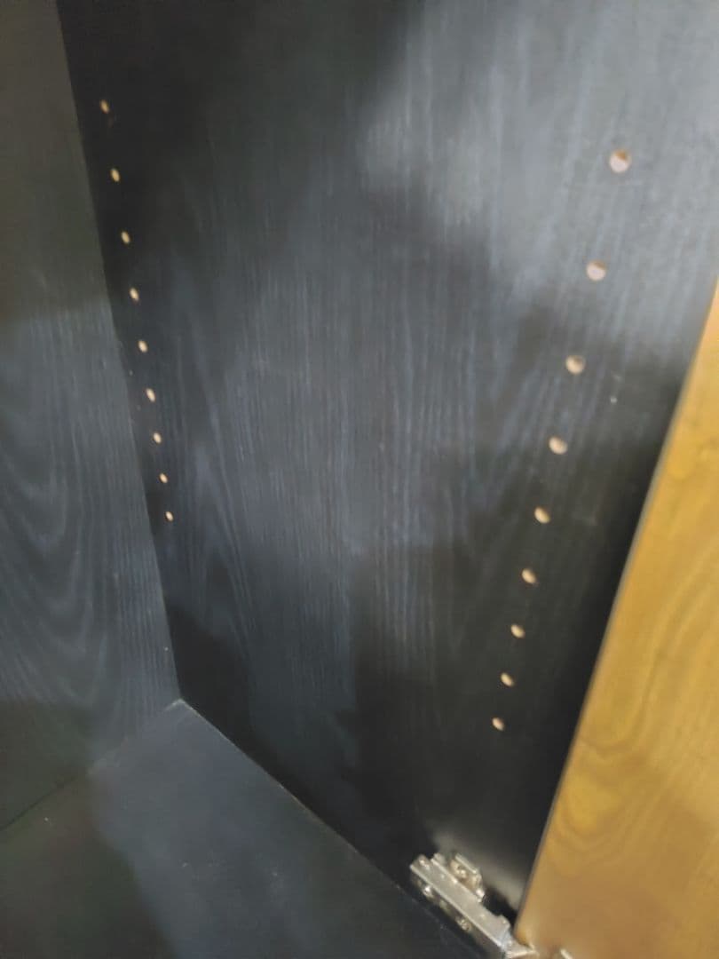 ペスパ2.0 木製キャビネット 2段 扉付き カギ付き ロータイプ　黒