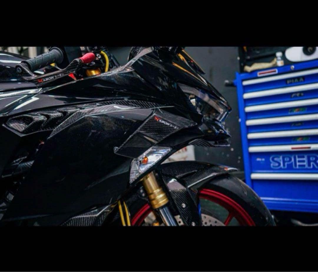 ZX25R/ZX4R サイドウイングレット風