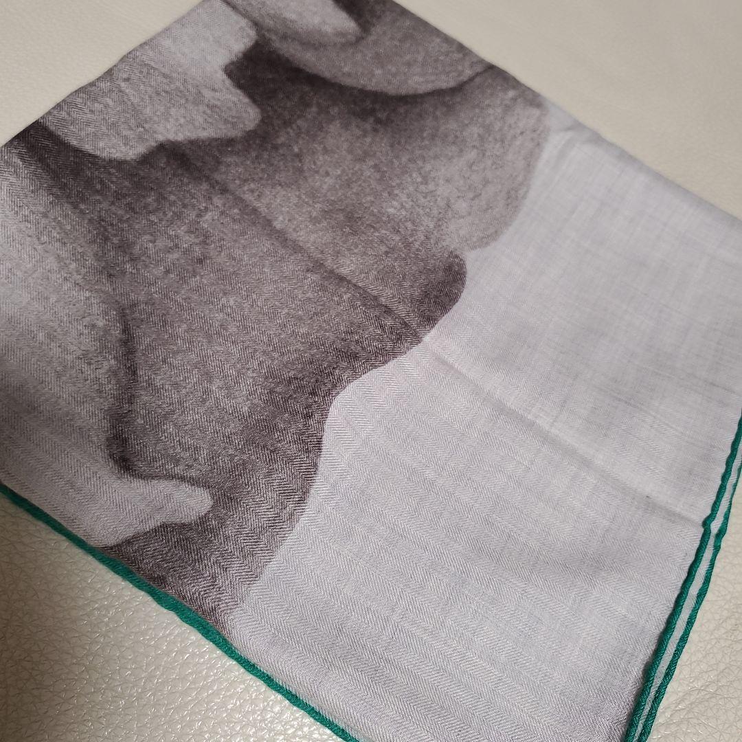 《美品》エルメス　カレジュアン　カシミアシルク140　アルマの薔薇