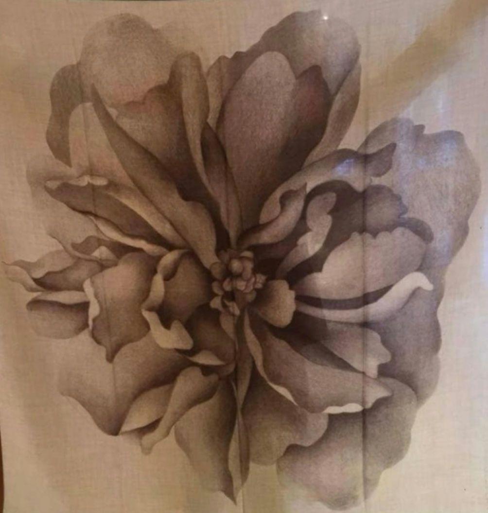 《美品》エルメス　カレジュアン　カシミアシルク140　アルマの薔薇