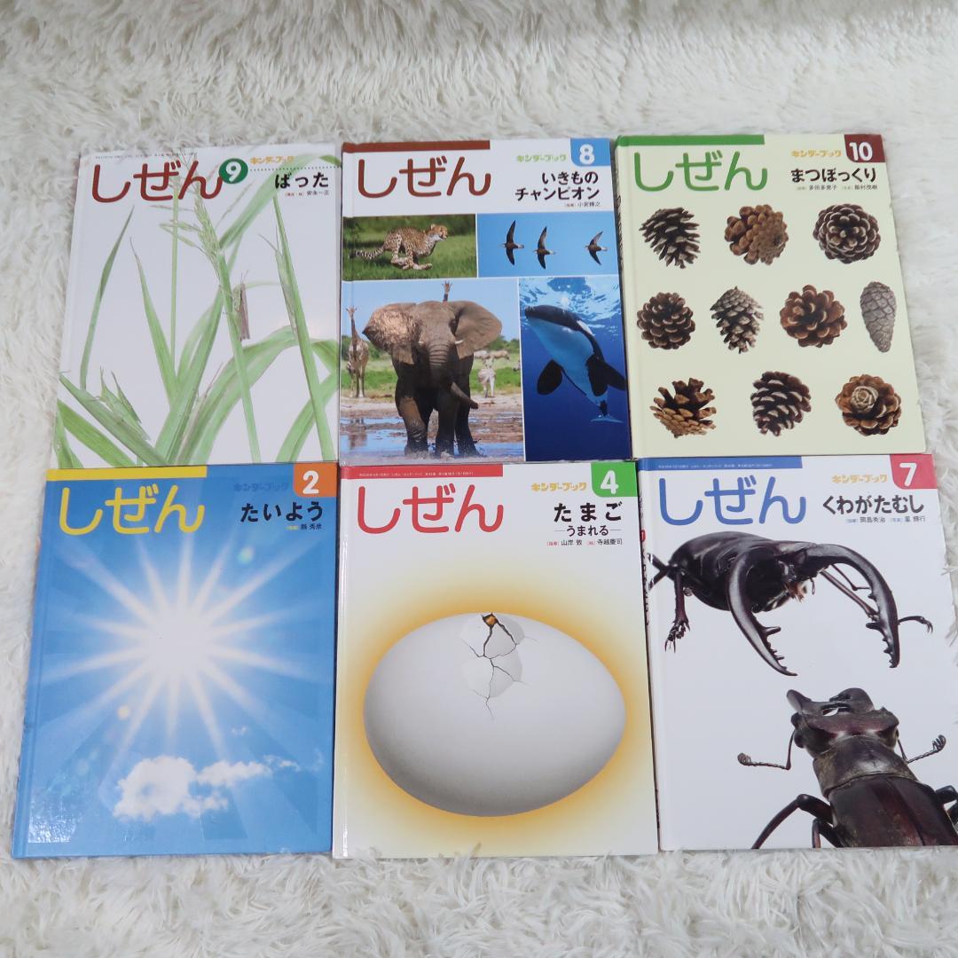 キンダーブック　しぜん 50冊セット　【24時間以内発送】