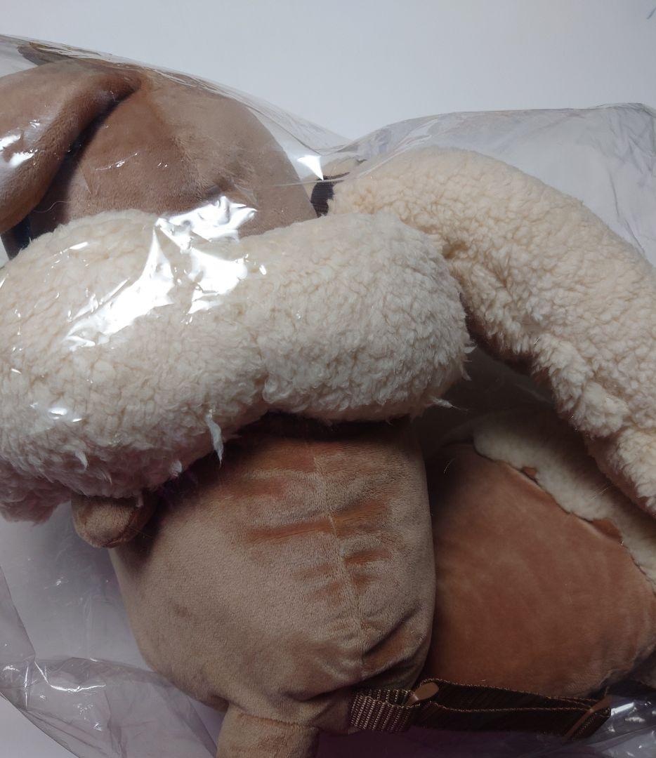 ポケットモンスター｜ボタンのイーブイリュック　新品未使用