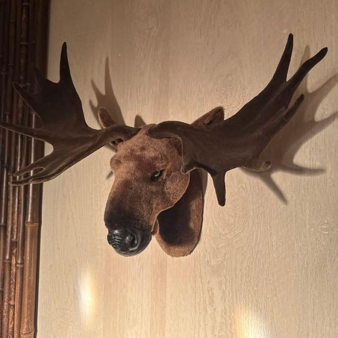 ハンティングトロフィー　鹿